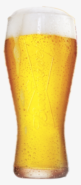 Tall Draft Beer Budweiser Png - Beer Glass