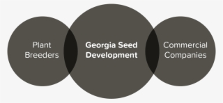 Our Mission Infographic - Circle