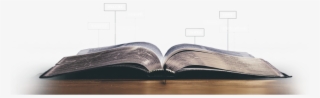 Through The Bible - Plywood