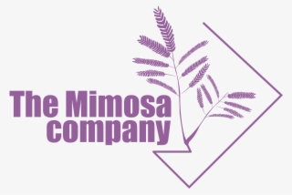 The Mimosa Company - Graphic Design