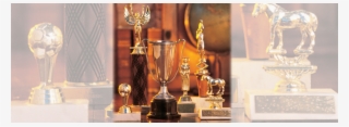 Treasure Island Trophies & Engraving - Trophy