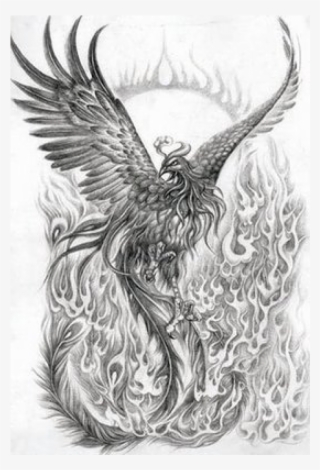 Phoenix Tattoo Sleeves - Phoenix In Flames Tattoo