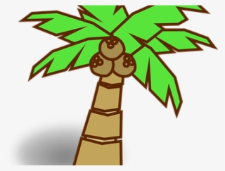 Transparent Cartoon Palm Tree - Tree Cartoon Images Hd