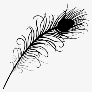 Download Png - Peacock Feather Clipart Png
