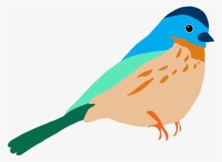 Graasisken Colored - Birds Drawing Color Png