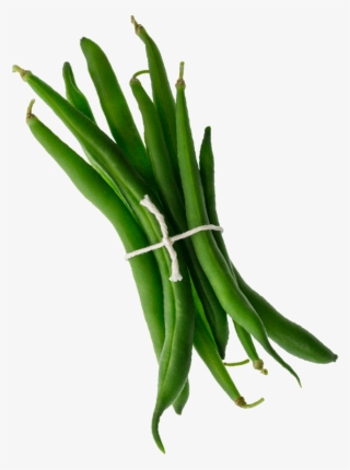 001 Mambo Product Images Green Beans Tilted Web Copy - Orris Root