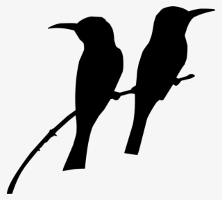 Silhouette, Bird, On The Tree, Tow Bird's, Nature - Birds Sitting On A Tree Black And White Clipart