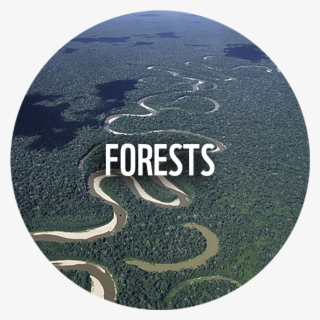 Wwf News - Circle