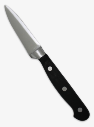 Hamilton Beach Stainless Steel Triple Rivet - Knife