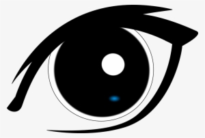 Eyeball Eye Vision Free Vector Graphic On Pixabay - Human Eye Clipart