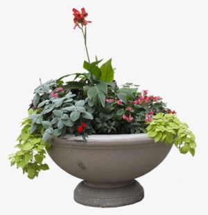 A Concrete Planter With Green Overflowing Plants And - Flower