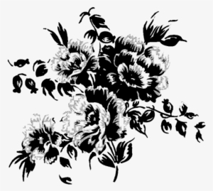 Black And White Flowers Png - Vector Bunga Orange