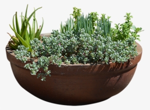 A Huge Cutout Clay Planter With Plants Possibly Including - Planters With Transparent Background