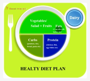 Proper Portion Of Food For Weight Loss - New Food Plate