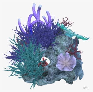 Reef Deep Sea Transprent - Coral Png