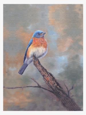 Bluebird Perch - Eastern Bluebird