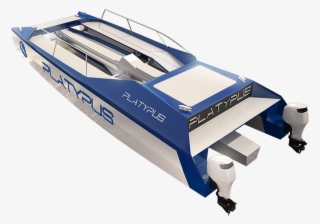 Light Displacement 1900 Kgs Draught In Surface Mode - Catamaran