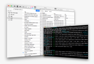 Running Canary And Itunes - Computer Program