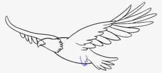 Eagle Vector By Souklin - Draw A Simple Eagle Transparent PNG ...