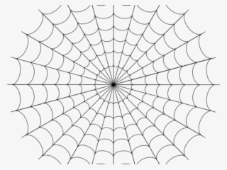 Drawn Arachnid Corner Spider Web - Spiderman Spider Web