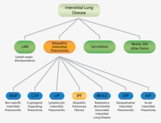 Iip Forms - Types Of Idiopathic Pulmonary Fibrosis