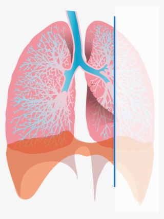 Pasa Services - Exhaling Lungs
