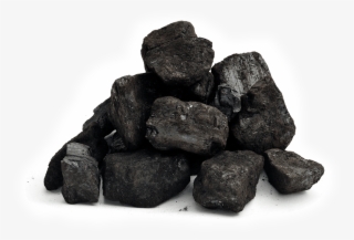 Elec-coal - Carbon Compounds In Everyday Use