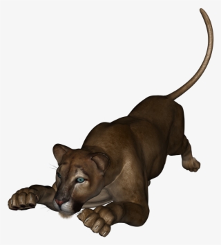 This Is The Lioness From Daz Studio - Companion Dog