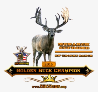 Click Here To Learn More About Monarch Supreme Of Rw - Antler