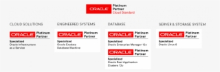 In Addition To Incident Management Service, Our Database - Oracle Platinum Partner