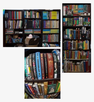 Also, I Have Multiple Bookshelves That Line The Corner - Book Cover
