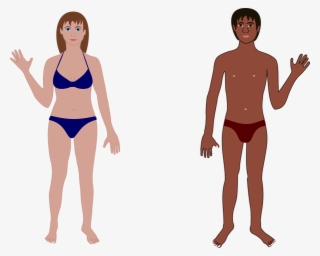 People Clipart Bathing Suit - Human Body