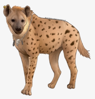 Hyena Png, Download Png Image With Transparent Background, - Png Background Wild Animals