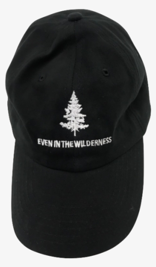 Wilderness Dad Hat