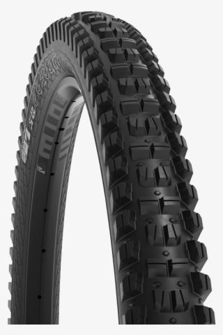 Wtb Judge