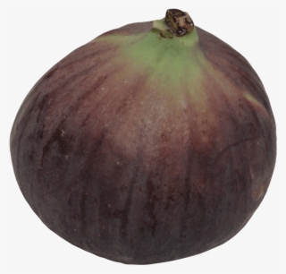 Free Png Fig Png - Common Fig