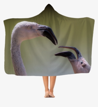 Flamingos Premium Adult Hooded Blanket - Blanket