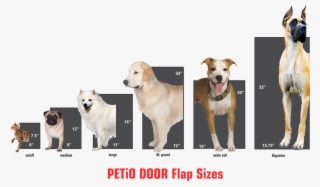 Petio Door Is The Ultimate All In One Pet Door Solution - American Staffordshire Terrier