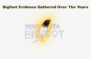 #bigfoot #sasquatch New Video Highlighting The Evidence - Calligraphy
