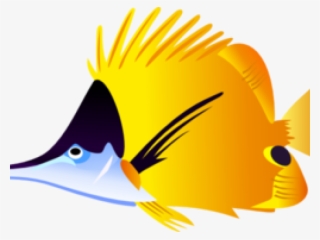 Tropical Fish Clipart Beta - Tropical Fish Cartoon