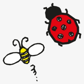 Bumblebees And Ladybirds - Ladybug