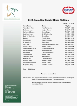 Accred-stallions - Document