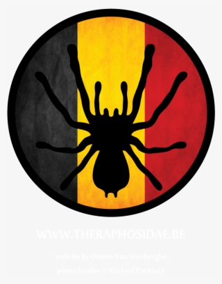 Theraphosidae - Emblem
