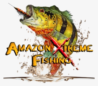 Download Pdf - Team Fishing Peacock Bass