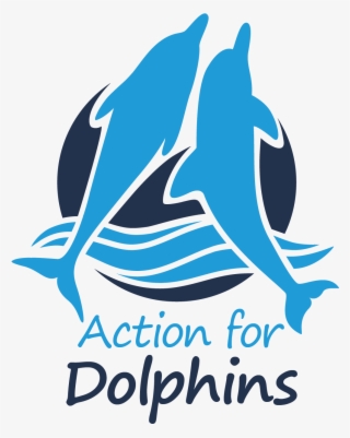 1001 X 1282 2 - Australia For Dolphins