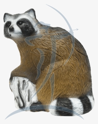 Srt Racoon [08470568] - Raccoon