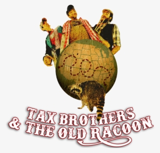 Tax Brothers & The Old Racoon - Illustration