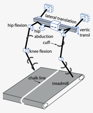 Schematic Of The Experimental Setup - Diagram