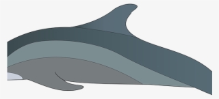 Spinner Dolphin Clipart Miami Dolphin Logo - Wholphin