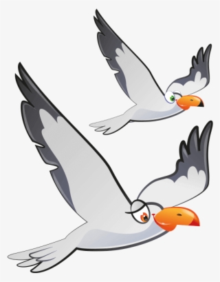 Click Image To Enlarge - European Herring Gull